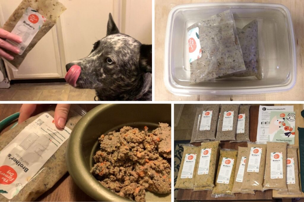The Farmer's Dog fresh dog food collage