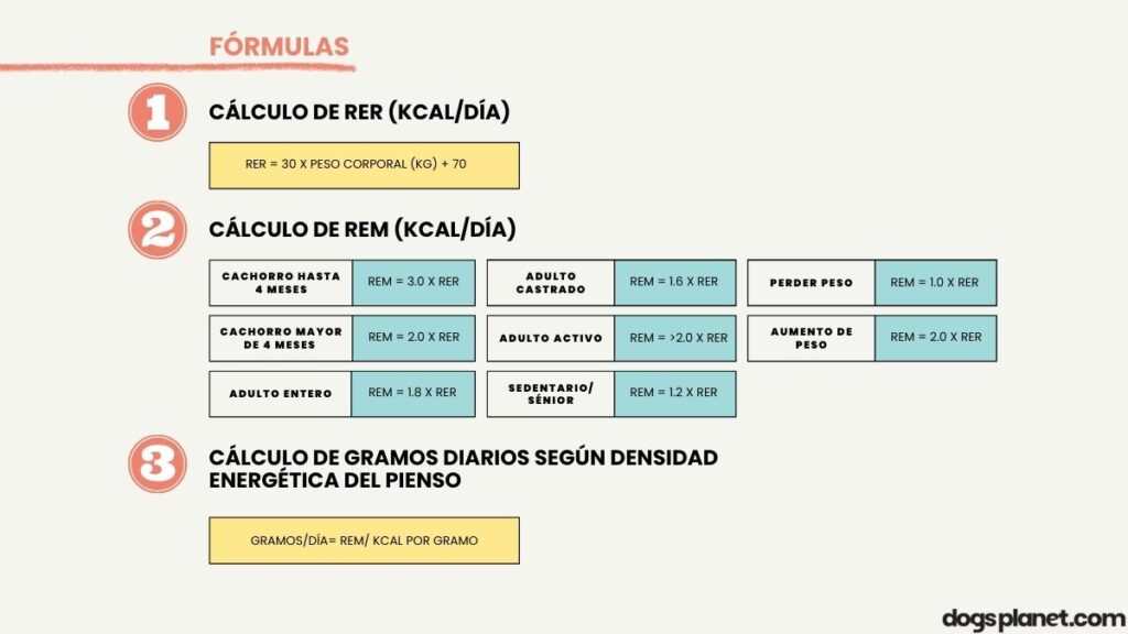 formula cantidad comida perro por dia