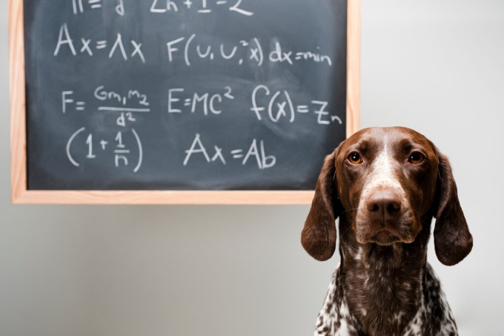 science dog