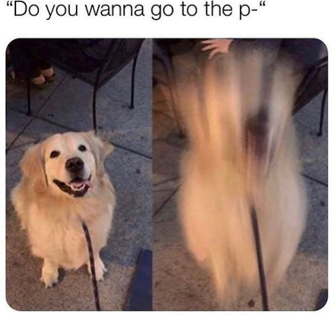 Do you wanna go to the p