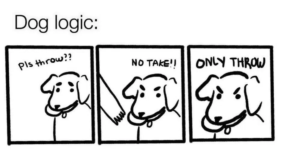 dog logic throw