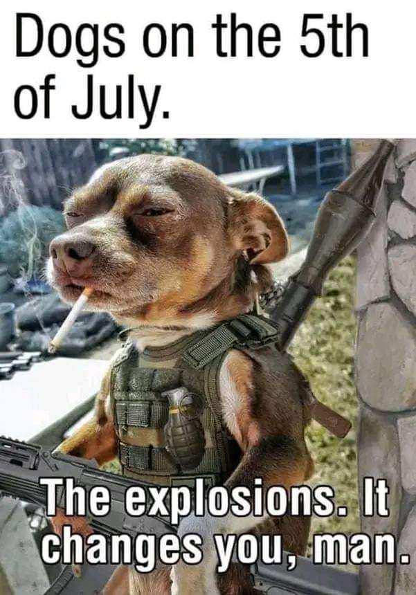 dogs on the 5th of july explosions