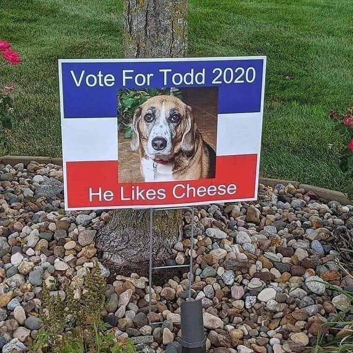vote todd