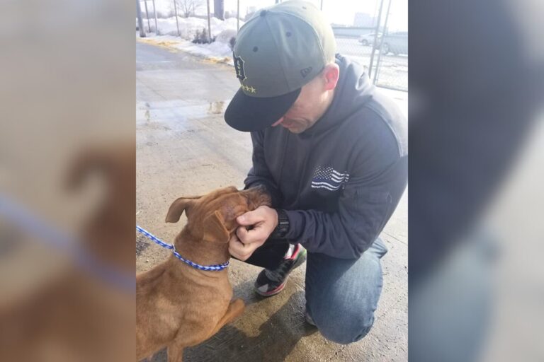 Un policier sauve un chien attaché à un porche par un temps glacial