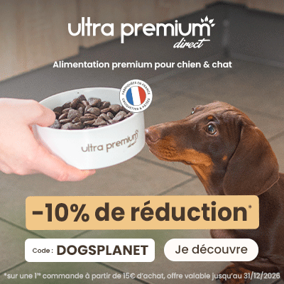 Ultra Premium Direct 400x400